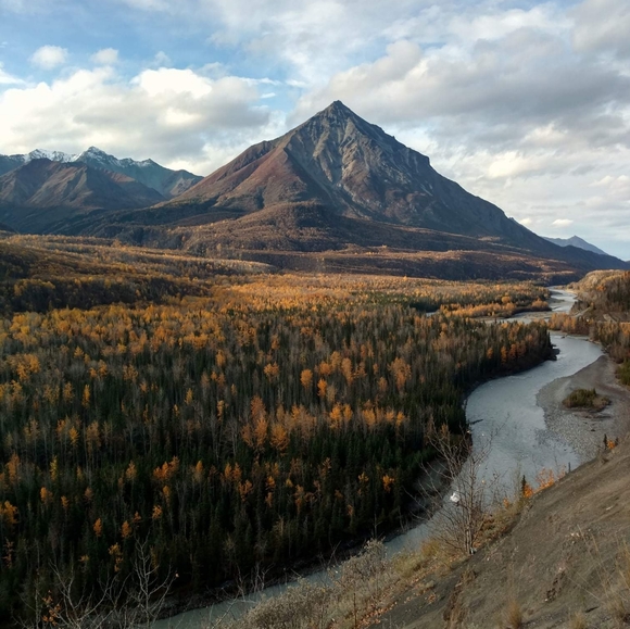 Meet your Posher, Karen - Picture 6 of 8